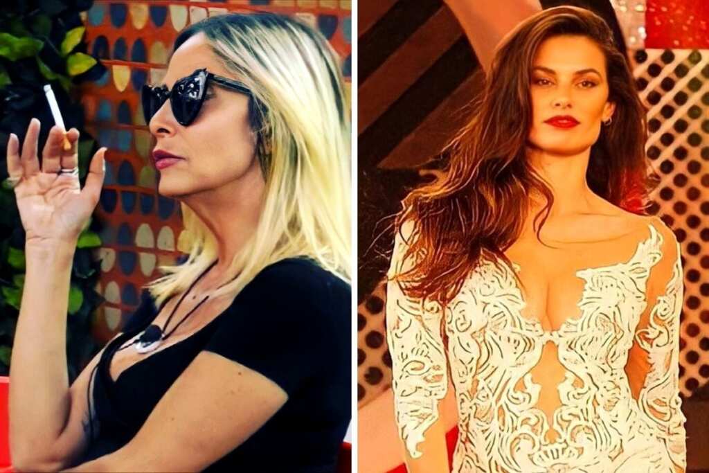 Gf Vip Dayane Mello Contro Stefania Orlando Sei Un Virus Che