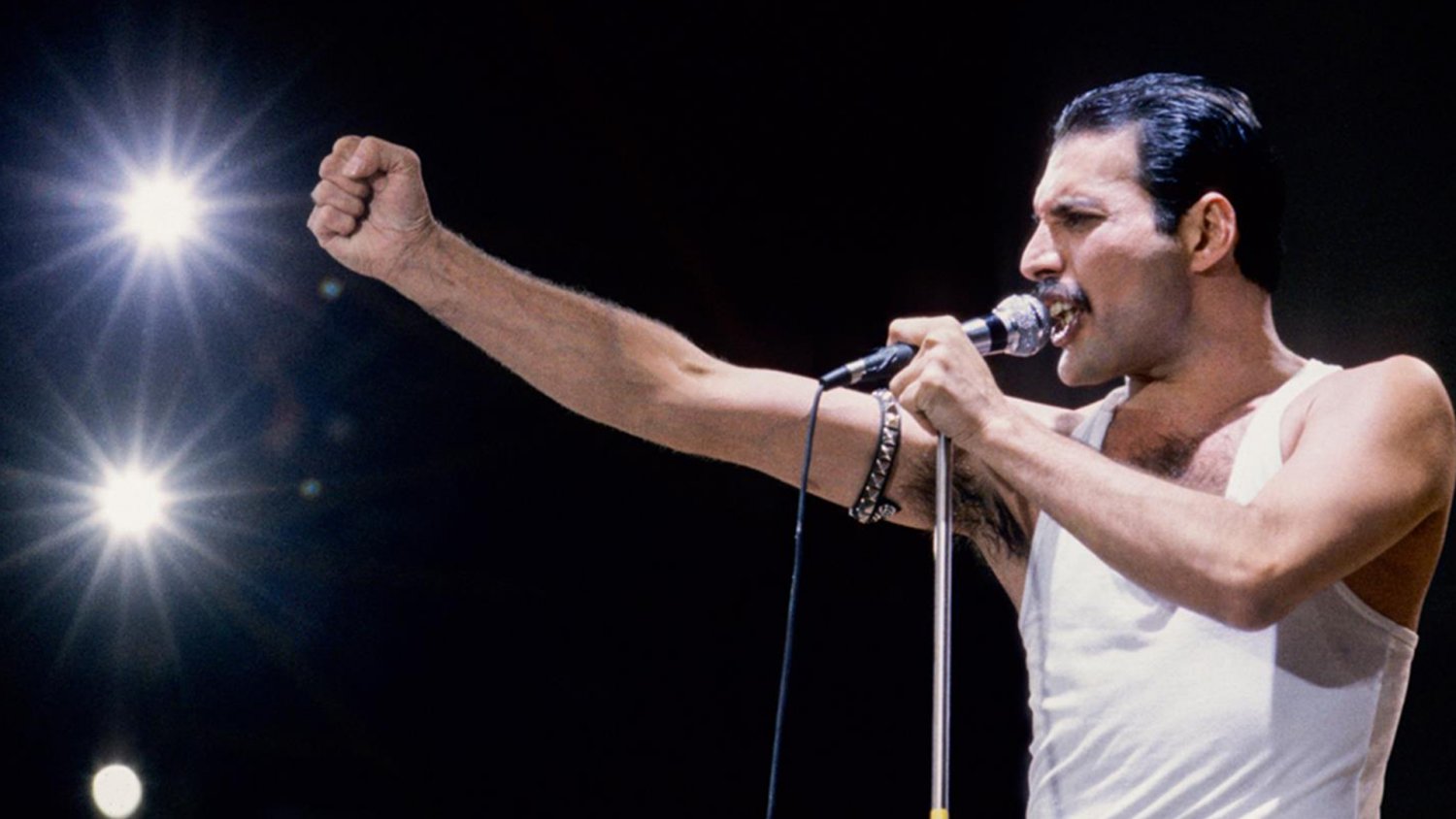 Freddy Mercury / Foto: Musyance