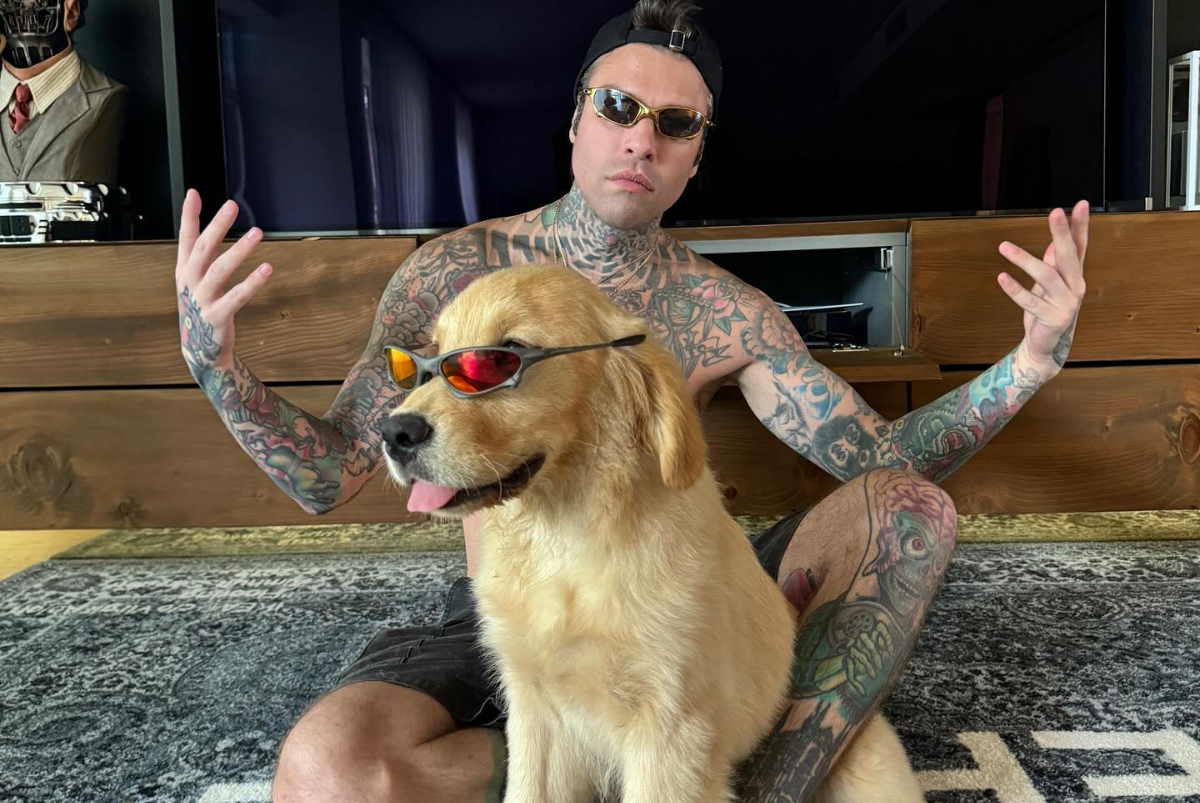 fedez nuovo cane instagram