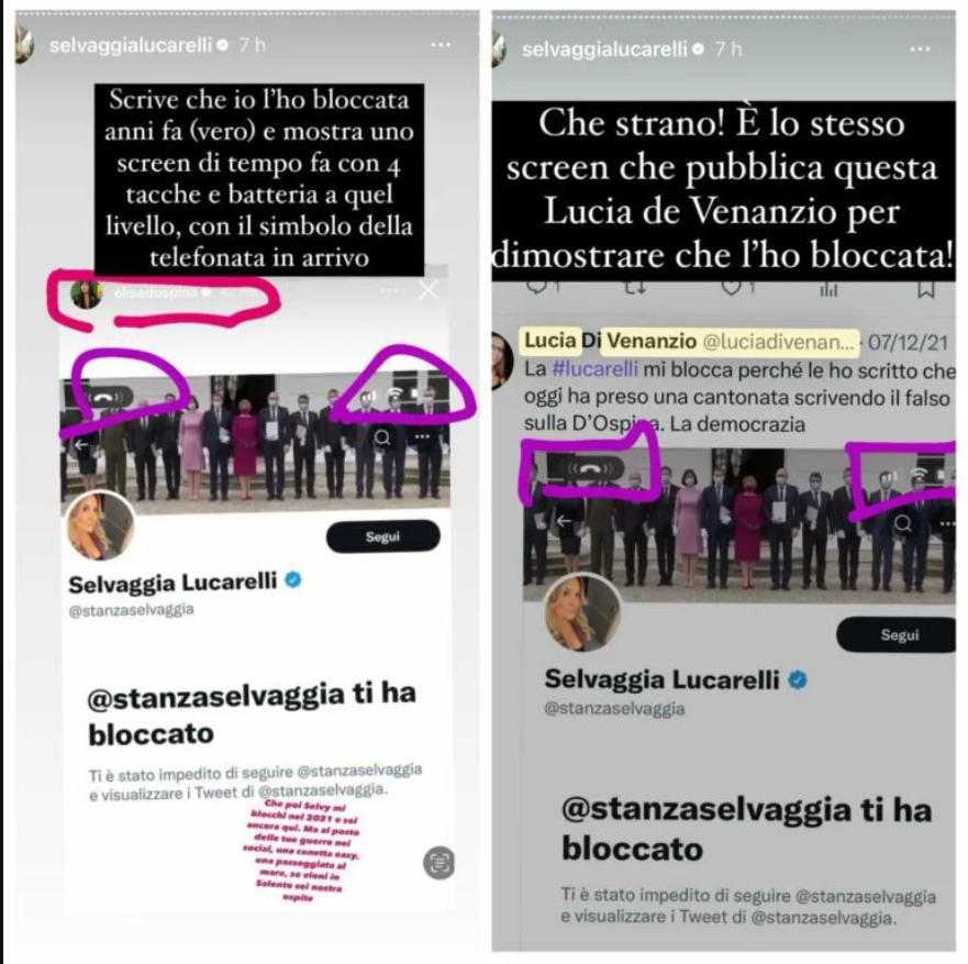 selvaggia profili fake elisa