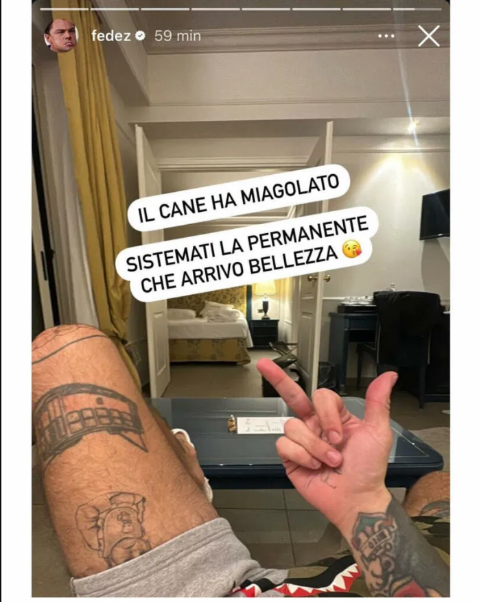 fedez cane miagolato